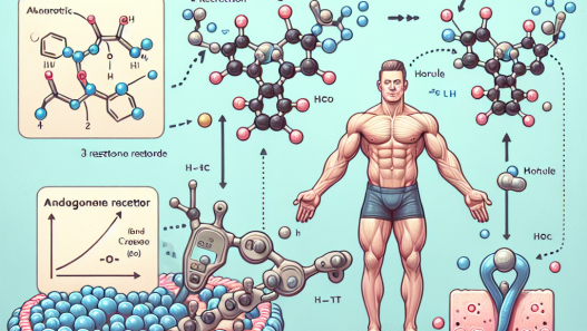Wie Trestolone acetate auf Androgenrezeptoren wirkt: Biochemische Grundlagen für Sportler
